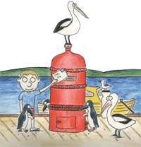 Image from " My Phillip Island Adventure"